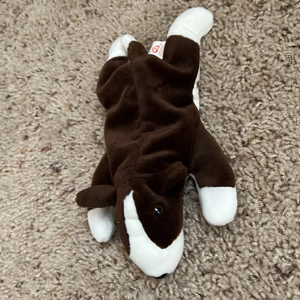 Ty missing heart